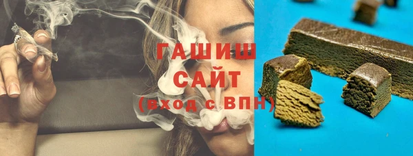 индика Беломорск