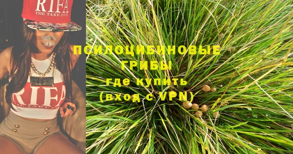 индика Беломорск