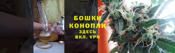 индика Беломорск