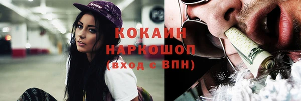 индика Беломорск