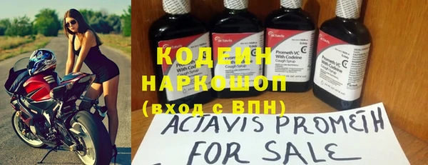 индика Беломорск