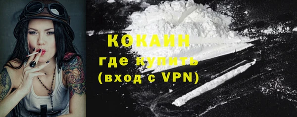 индика Беломорск