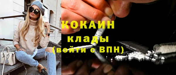 индика Беломорск